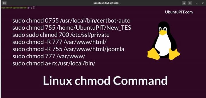 Everything You Need To Know About Linux Chmod Command