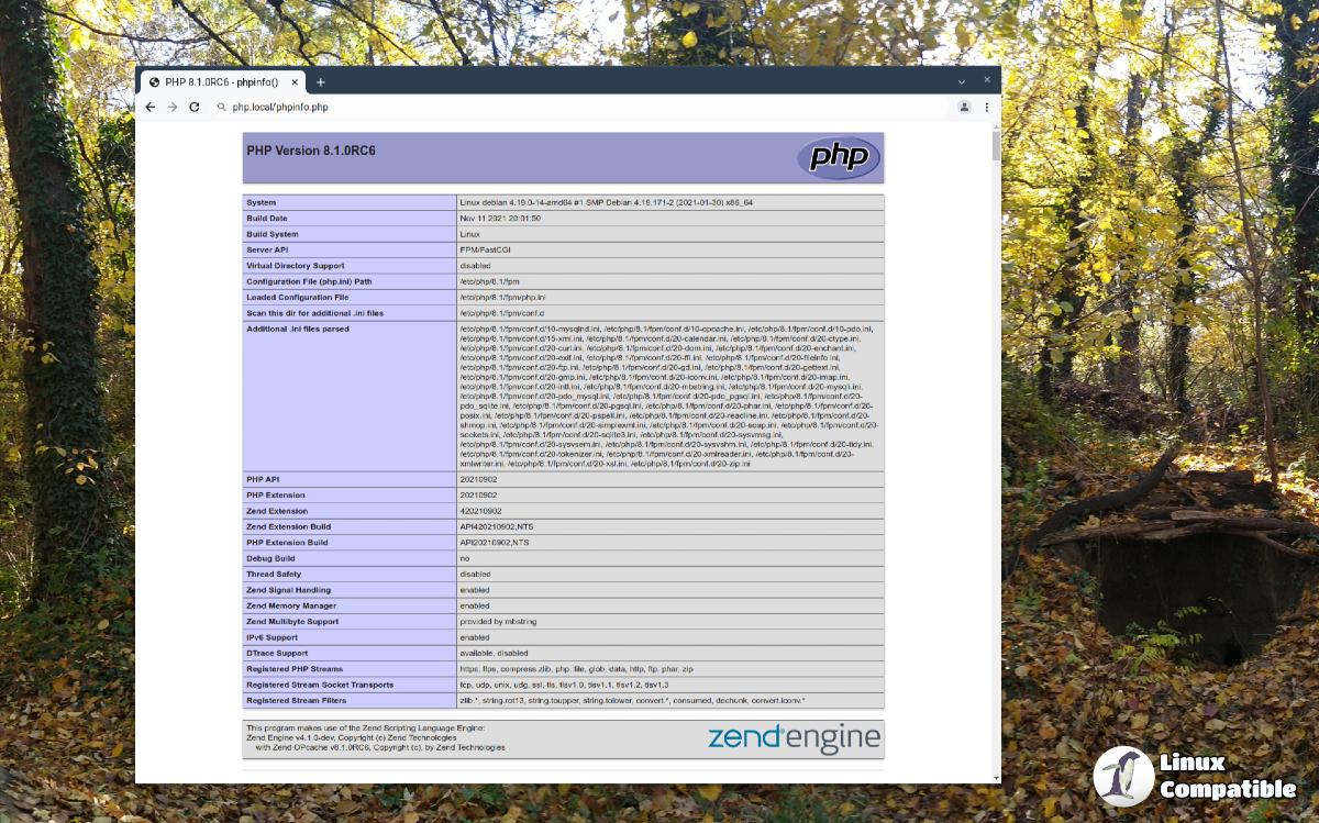 PHP 8.1.0RC6 for Debian 10