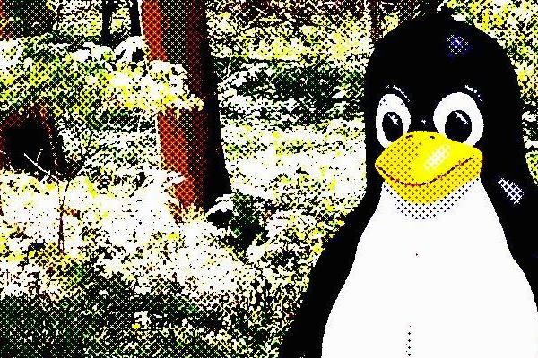 Linux Kernel 6.9-rc4 released