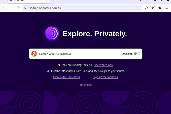 Tails 7.3.1 released