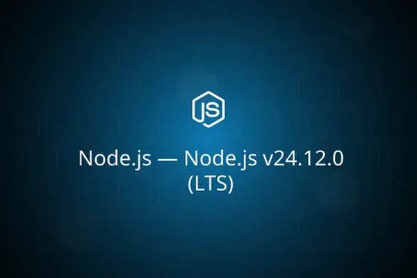 Node.js v24.12.0 (LTS) released