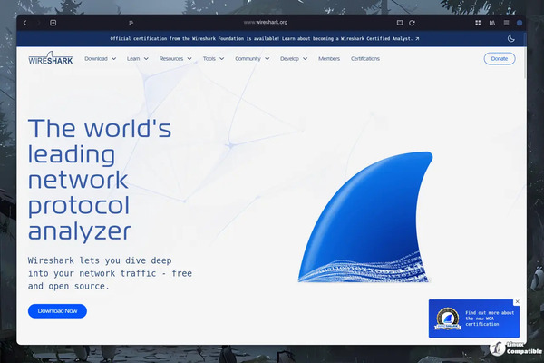 Wireshark 4.6.4 and 4.4.14 Updates: Fixes Npcap Restriction Issue and More