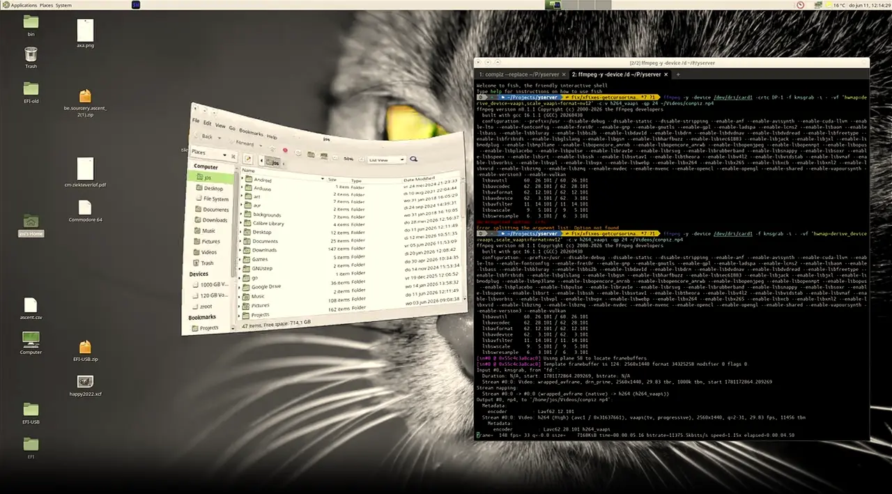 Screenshot_from_2026_07_02_14_48_44