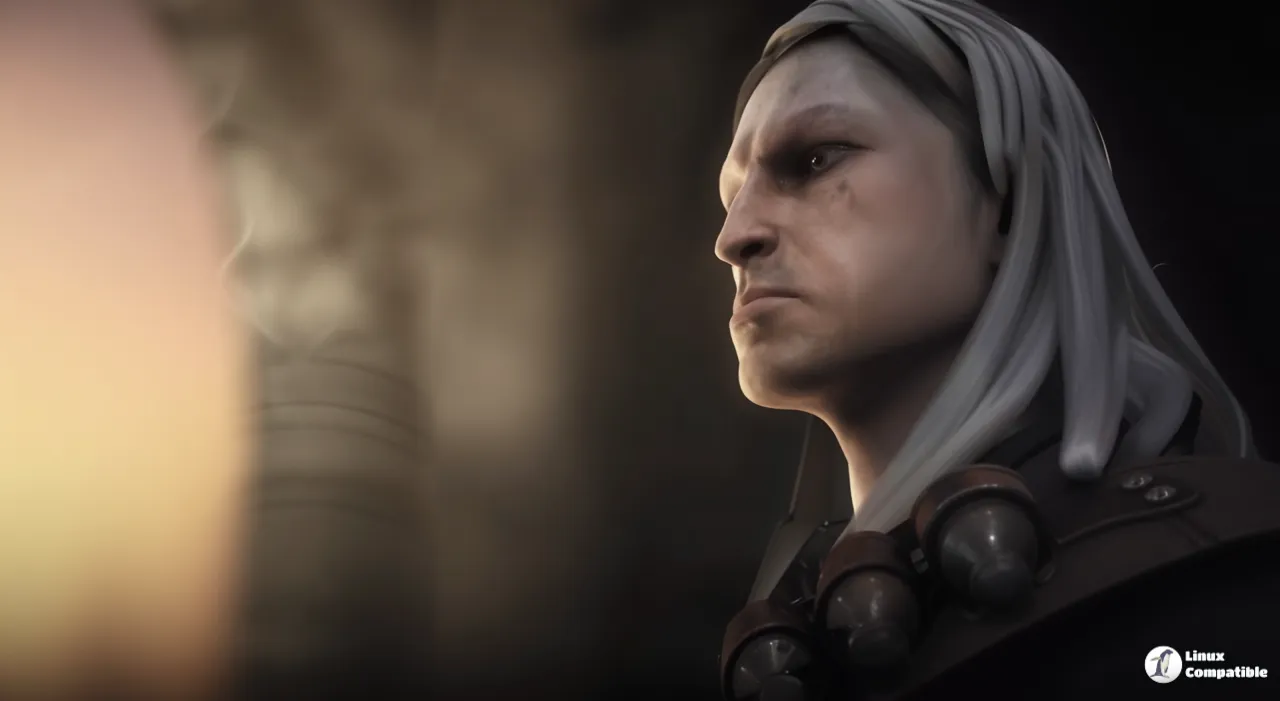 Witcher1